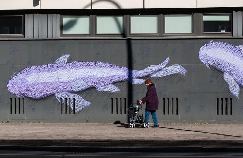 Urban Mindful Walks